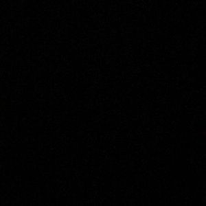 Meet your Posher, Lizz